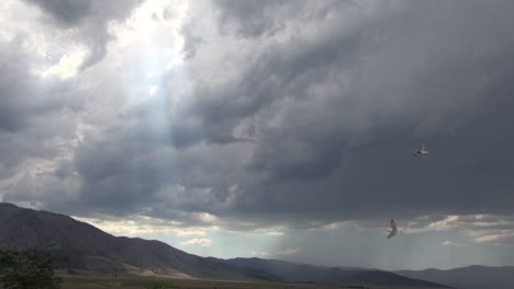 California-Birds-Fly-Past-Stormy-Clouds